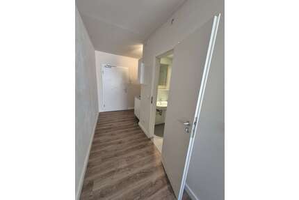 Wohnung zum Mieten in Dresden 314,00 € 20 m²