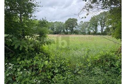 IDEAL FÜR FREIZEIT IN DER NATUR - Lutzhorn