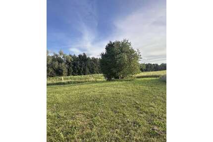 Grundstück zu verkaufen in Ahorn 109.500,00 € 650 m²