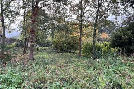 Grundstück zu verkaufen in Hagen-Haspe 250.000,00 € 1204 m²
