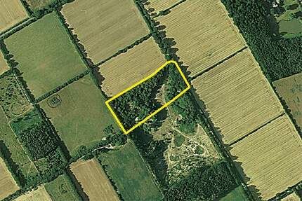 Ehemalige Kiesgrube, jetzt NaturgrundstückWald - Großenaspe