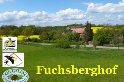 Ferienwohnung am Müritz Nationalpark auch Angelurlaub möglich - Möllenhagen