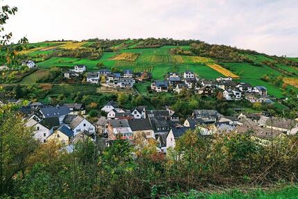 Traumhafte Aussicht zu verpachten Wiesengrundstück Obstbaum - Weiler bei Bingen