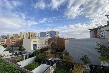 Wohnung zum Kaufen in Stuttgart Neugereut 429.000,00 € 130 m² - Stuttgart / Neugereut