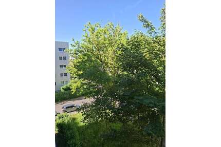 Wohnung zum Mieten in Magdeburg 374,48 € 49.93 m²