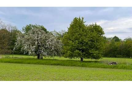 Grundstück zu verkaufen in Lichtenau 415.900,00 € 4108 m²