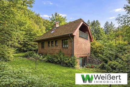 Charmantes Einfamilienhaus mit 1.047 m² großem Grundstück & vielseitigem Platzangebot in Waldrandlage - Itzehoe