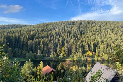 Last Minute Ferienhaus im Nord-Schwarzwald am See I Wochenende - Seewald