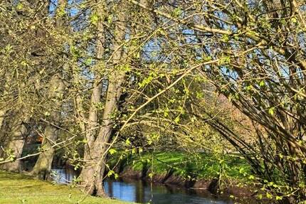 Zuhause statt einfach nur Immobilie - gepflegtes Reihenhaus mit idyllischem Garten an der Mühlenau - Rellingen