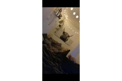 Reihenhaus zur Miete - 1.450,00&nbsp;EUR Kaltmiete, ca.&nbsp; 100,00&nbsp;m&sup2; in Oldenburg (PLZ: 26125) Etzhorn