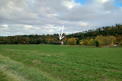 Haus mit Nebengebäude, Alleinlage, zentral, 1800qm Grund - Marktrodach