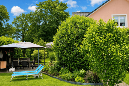 Haus zum Kaufen in Bargfeld-Stegen 499.000,00 € 130.46 m²