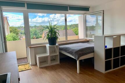 1-Zi.-Eigentumswohnung mit wunderbarem Süd-Balkon, OHNE MAKLER - Höchberg
