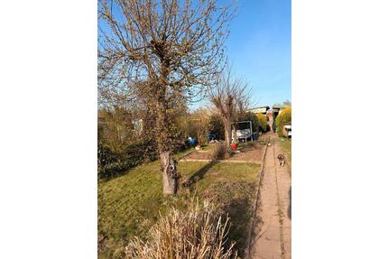 Kleingarten im Waldessaum - 1.900,00&nbsp;EUR Kaltmiete, ca.&nbsp; 0,00&nbsp;m&sup2; in Rostock (PLZ: 18146) Alt Bartelsdorf