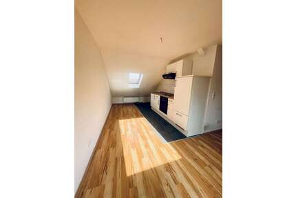 Wohnung zum Mieten in Landau 350,00 € 25.19 m²
