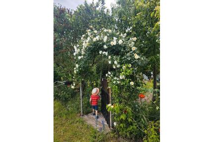 garten in Thekla abzugeben - 1.800,00&nbsp;EUR Kaltmiete, ca.&nbsp; 0,00&nbsp;m&sup2; in Leipzig (PLZ: 04347) Nordost