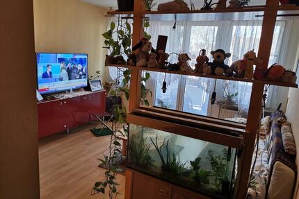 2 Zimmerwohnung in Eimeldingen - 780,00&nbsp;EUR Kaltmiete, ca.&nbsp; 42,00&nbsp;m&sup2; in Lörrach (PLZ: 79540) Salzert