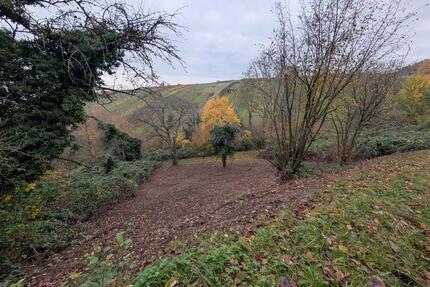 Ruhiger Rückzugsort inmitten der Natur zu verpachten - Weinstadt