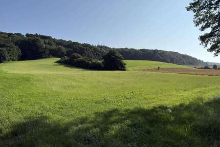 Grundstück in Zusmarshausen 159.000,00 € 26100 m²