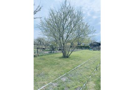 Pachtgarten in Weststadt - 750,00&nbsp;EUR Kaltmiete, ca.&nbsp; 0,00&nbsp;m&sup2; in Schwerin (PLZ: 19059) Neumühle