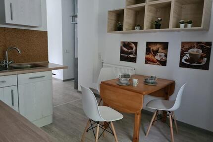 Helle 2 Zi. Whg. im EG, vollmöbliert, WG geeignet - Wilgartswiesen