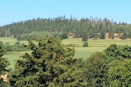 Eigentumswohnung - 65.000,00&nbsp;EUR Kaufpreis, ca.&nbsp; 57,00&nbsp;m&sup2; in Zell im Fichtelgebirge (PLZ: 95239)
