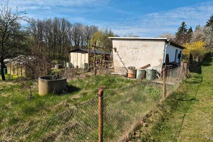 Pachtgarten Kleingarten Garten 280m² in Radeberg