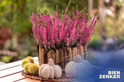 Haus zum Kaufen in Löbau 395.571,00 € 135 m²