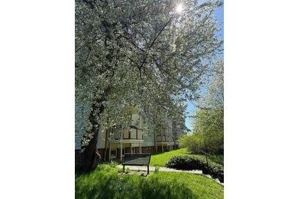 Charmante 2 Zimmer im 1. OG - 338,00&nbsp;EUR Kaltmiete, ca.&nbsp; 51,76&nbsp;m&sup2; in Wilkau-Haßlau (PLZ: 08112)