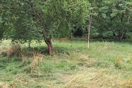 Grundstück zu verkaufen in Hitzacker (Elbe) 120.000,00 € 3550 m²