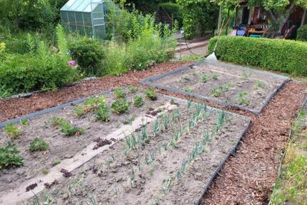 Ruhiger Kleingarten, Anlage 