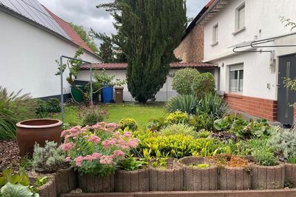 1 ZKB, voll möbliert und ausgestattet - Gernsheim