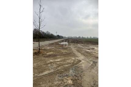 Grundstück zu verkaufen in Kirchwalsede 357.500,00 € 2750 m²