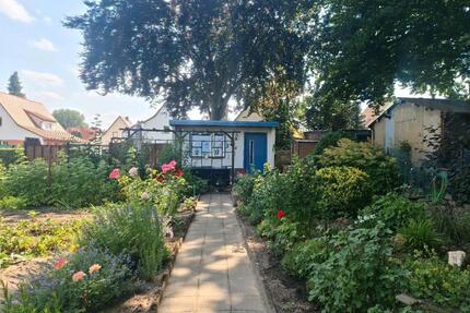 Kleingarten - 3.000,00&nbsp;EUR Kaltmiete, ca.&nbsp; 0,00&nbsp;m&sup2; in Löbau (PLZ: 02708)