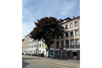 Wohnung zum Kaufen in Dortmund 196.000,00 € 115 m²