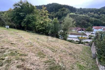 Grundstück zu verkaufen in Weisenbach 75.000,00 € 363 m²