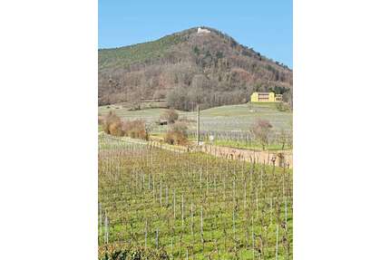 Haus zum Kaufen in Rhodt unter Rietburg 1.198.000,00 € 268 m²