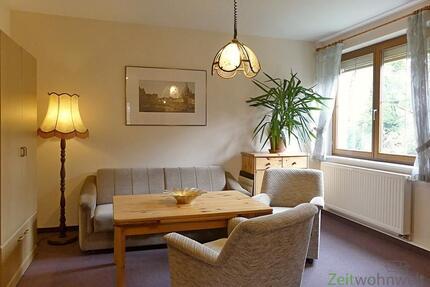 (EF0584_M) Dresden: Blasewitz, möblierte 1,5-Zimmer Wohnung zwischen Waldpark und Elbe