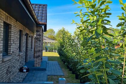 Bungalow in Sagard - 450.000,00&nbsp;EUR Kaufpreis, ca.&nbsp; 105,00&nbsp;m&sup2; in Sagard (PLZ: 18551)