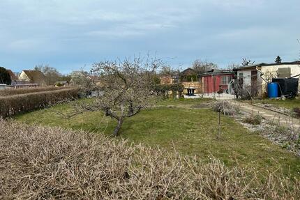 Pachtgarten abzugeben in Finsterwalde
