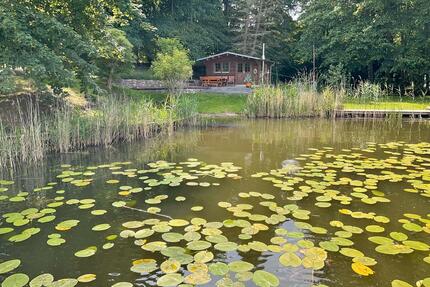 Kleiner Bungalow am See zu vermieten, inkl. Kanu - Rheinsberg
