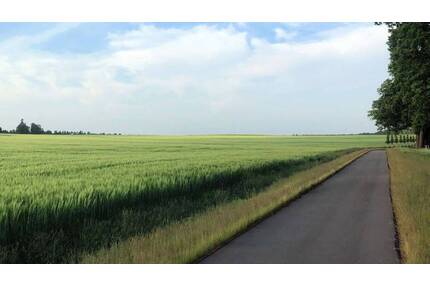 642 m² Baugrundstück für ein Einfamilienhaus (Grundstück 01) - Wiesenburg/Mark