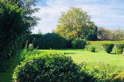 Sonniges Grundstück mit Traumgarten und Einfamilienhaus Haus - Bornheim