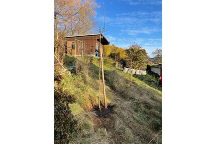 Kleingarten in wunderschöner Lage in Lößnitz abzugeben