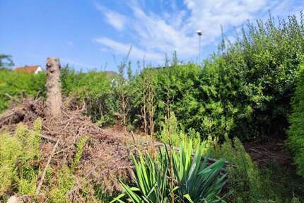 Grundstück zu verkaufen in Magdeburg 136.000,00 € 350 m²