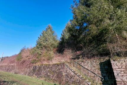 Freizeit Grundstück Ehemaliger Weinberg mit Baumbestand - Irmenach