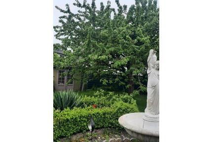 Einfamilienhaus - 330.000,00&nbsp;EUR Kaufpreis, ca.&nbsp; 168,00&nbsp;m&sup2; in Warburg (PLZ: 34414)