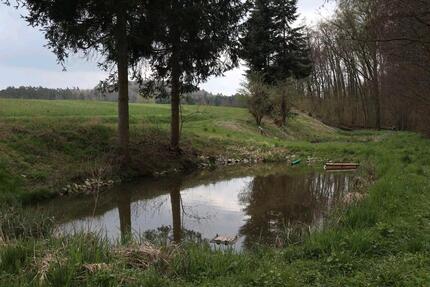 Teiche Weiher zu verpachten - 100,00&nbsp;EUR Kaltmiete, ca.&nbsp; 0,00&nbsp;m&sup2; in Burghaslach (PLZ: 96152)