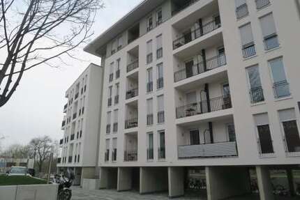 Wohnung zum Mieten in Dresden 698,00 € 62 m²