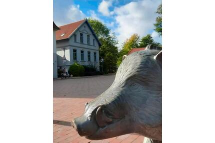 möblierte Wohnung 48qm mit Küche Bad Balkon und Stellplatz - Oldenburg Dobbenviertel